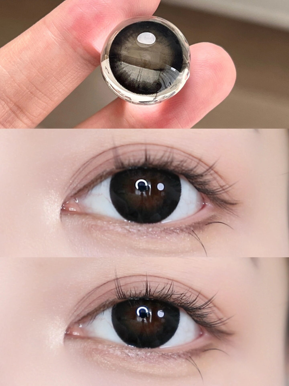 Black Eyes Black  DIA:14.5 GDIA:13.9