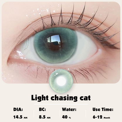 Light chasing cat DIA:14.5 GDIA:13.9