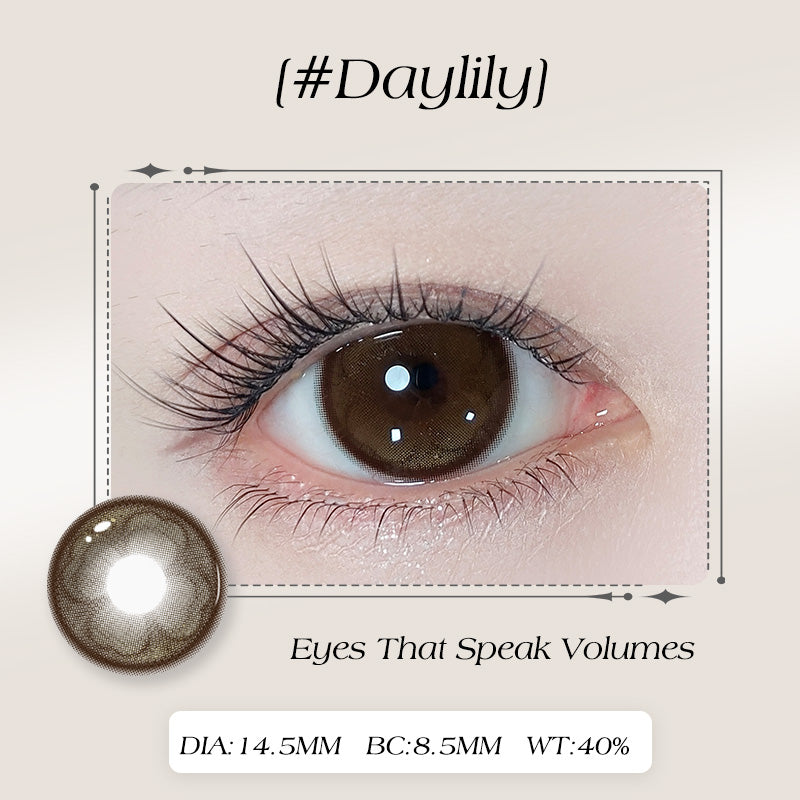 Daylily DIA:14.5 GDIA:14.2